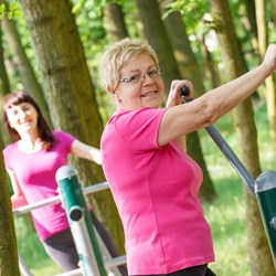 Image for Exercise and Physical Activity