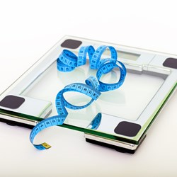 Image for What Can I Do to Lose Weight?
