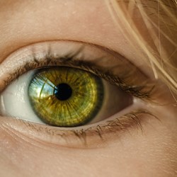 Image for Diabetic eye screening: easy read guide