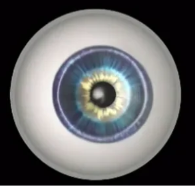 Image for Bengali - Diabetic Retinopathy