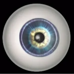 Image for Gujarati - Diabetic Retinopathy