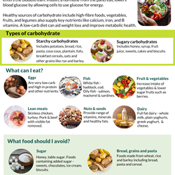 Image for Low carbohydrate diet factsheet