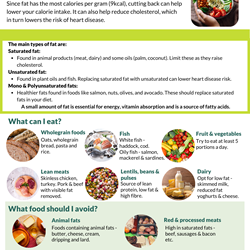Image for Low fat / low calorie factsheet